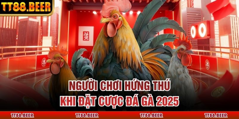 Người chơi hứng thú khi đặt cược đá gà 2025