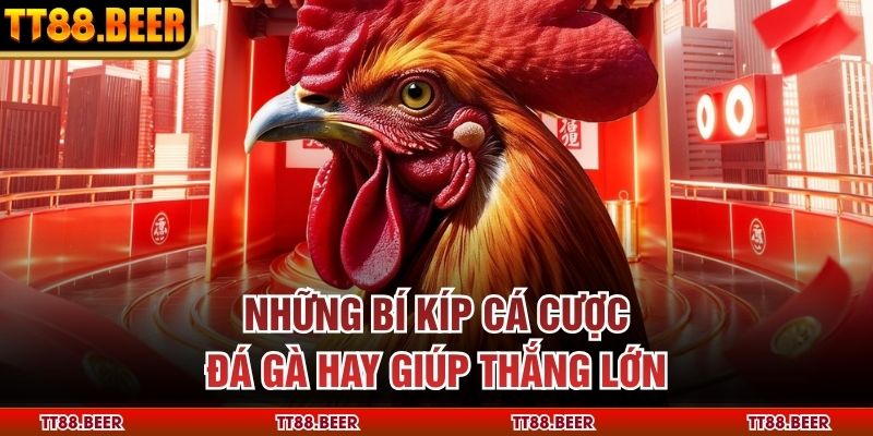 Những bí kíp cá cược đá gà hay giúp thắng lớn 