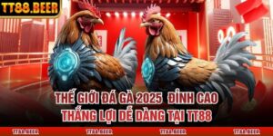 Thế Giới Đá Gà 2025 Đỉnh Cao, Thắng Lợi Dễ Dàng Tại TT88